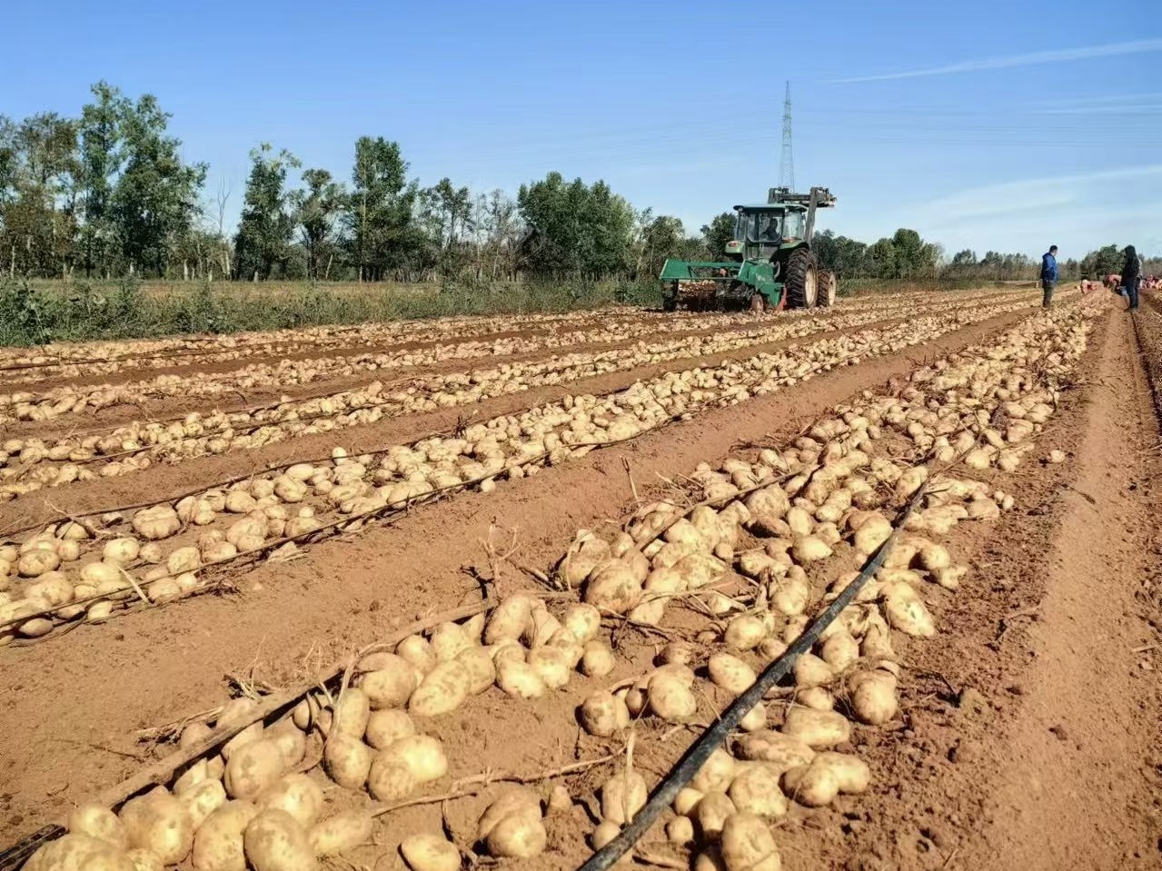 产学研聚力!河北久恩农业联合三大机构荣获省科技进步一等奖(图2) 产学研聚力!河北久恩农业联合三大机构荣获省科技进步一等奖(图2)