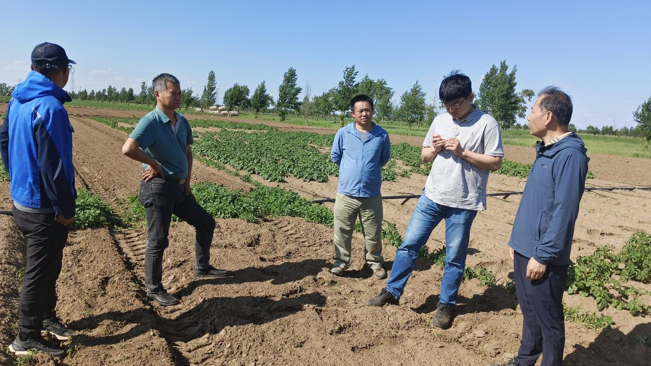 中国农科院&河北久恩农业农艺技术交流培训会成功举办(图8)